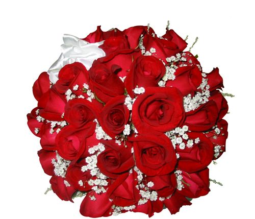buquet rosas vermelhas